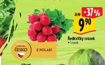 Albert Ředkvičky nabídka