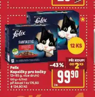 Billa Felix kapsičky pro kočky nabídka