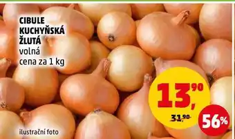 Penny Market Cibule kuchyňská žlutá nabídka