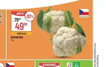 Globus Květák bílý nabídka