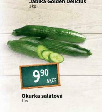 Terno Okurka salátová nabídka