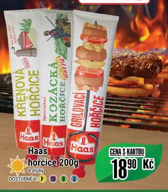 Tamda Foods Haas hořčice 200g nabídka