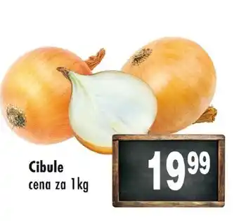 Qanto Cibule nabídka