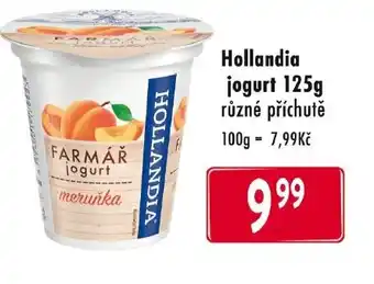 Qanto Hollandia jogurt 125g nabídka