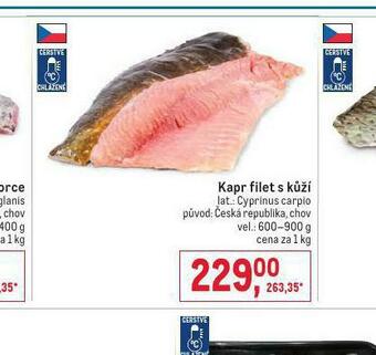 Makro Kapr filet s kůží nabídka