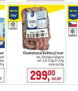 Makro Chobotnice květový tvar nabídka