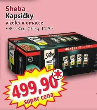 Norma Sheba Kapsičky v želė/ v omáčce nabídka