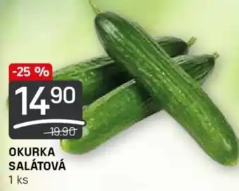 Flop OKURKA SALÁTOVÁ nabídka