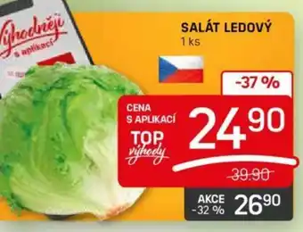 Flop SALÁT LEDOVÝ nabídka