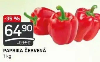 Flop PAPRIKA ČERVENÁ nabídka