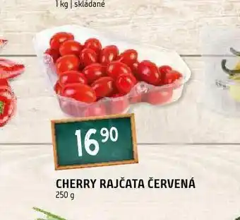Terno Cherry rajčata červená nabídka