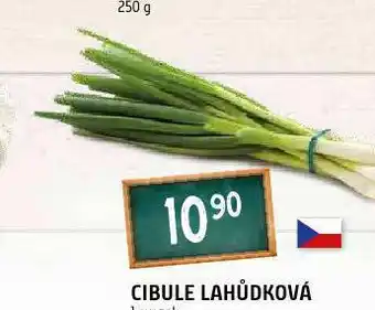 Terno Cibule lahůdková nabídka