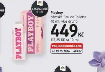 dm drogerie Playboy dámské eau de toilette nabídka