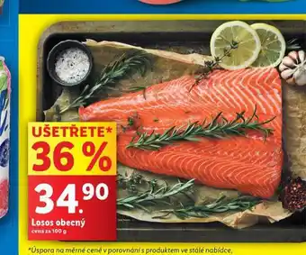 Lidl Losos obecný nabídka