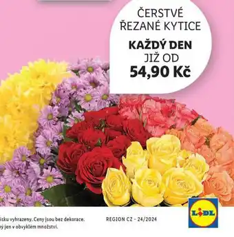 Lidl Čerstvé řezané kytice nabídka