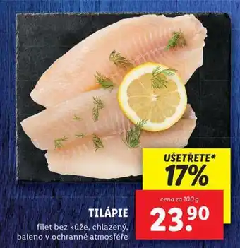 Lidl Tilápie nabídka