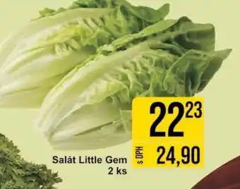 Jip Salát Little Gem nabídka