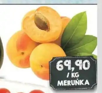 Jip MERUŃKA nabídka