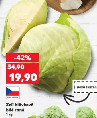 Zelí hlávkové bílé rané