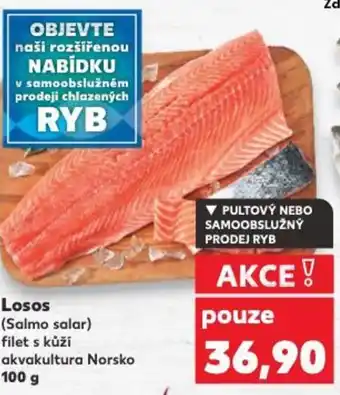 Kaufland Losos nabídka