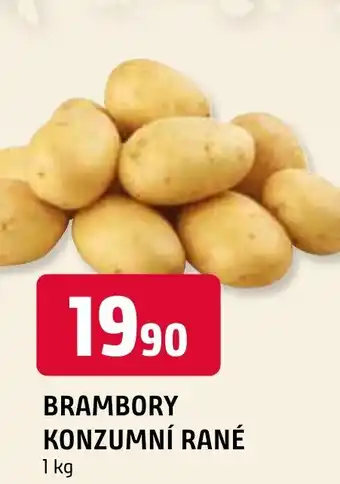 Terno BRAMBORY KONZUMNÍ RANÉ nabídka