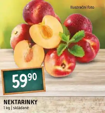Terno NEKTARINKY 1 kg nabídka