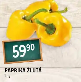 Terno PAPRIKA ŽLUTÁ 1 kg nabídka