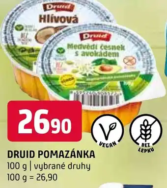Terno DRUID POMAZÁNKA nabídka