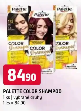 Terno PALETTE COLOR SHAMPOO nabídka