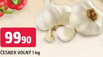 Trefa ČESNEK VOLNÝ 1 kg nabídka