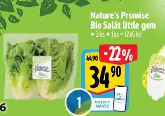 Albert Nature's Promise Bio Salát little gem nabídka