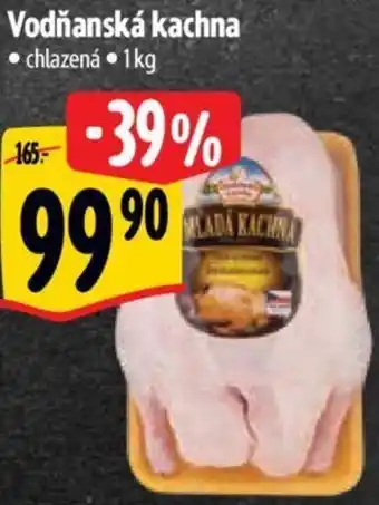 Albert Vodňanská kachna nabídka
