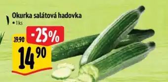 Albert Okurka salátová hadovka nabídka