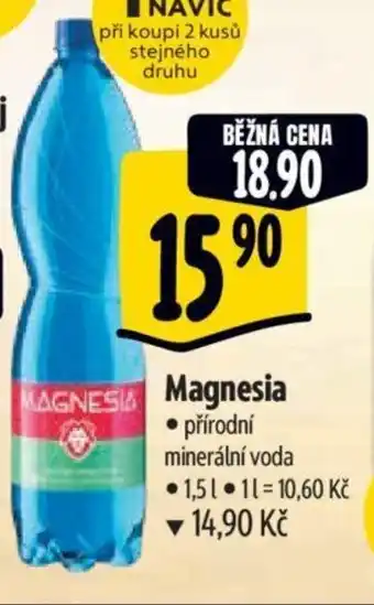 Albert Magnesia nabídka