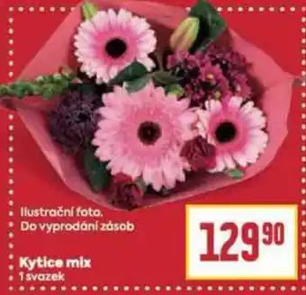 Billa Kytice mix nabídka