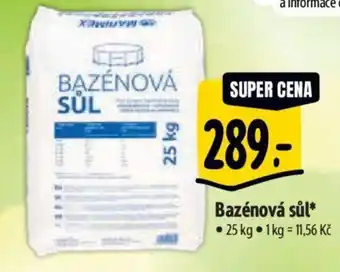 Albert Bazénová sůl nabídka