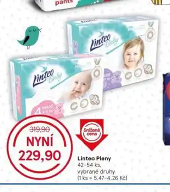Tesco Linteo pleny nabídka