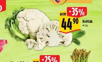 Albert Květák nabídka