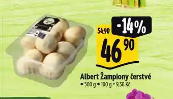 Albert Žampiony čerstvé nabídka