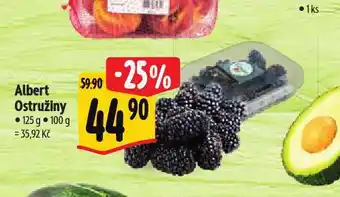 Albert Ostružiny nabídka
