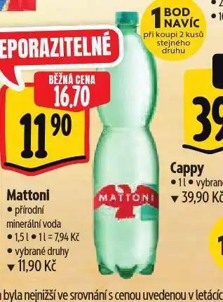 Albert Mattoni přírodní nabídka