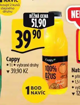 Albert Cappy nabídka