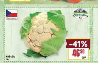 Billa Květák nabídka