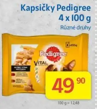 Kubík potraviny Kapsičky Pedigree 4 x 100 g nabídka