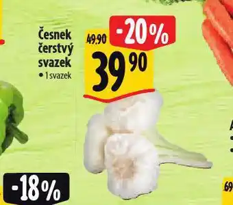 Albert Česnek čerstvý nabídka