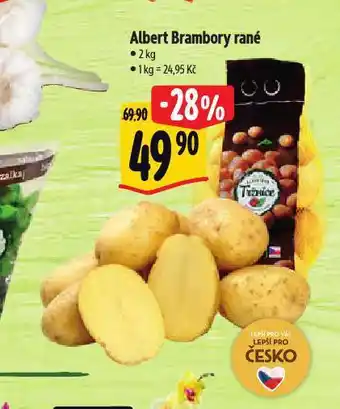 Albert Brambory rané nabídka