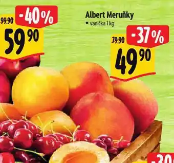 Albert Meruňky nabídka