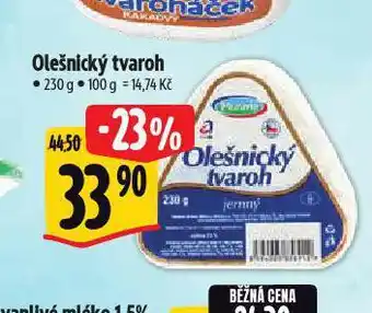 Albert Olešnický tvaroh nabídka