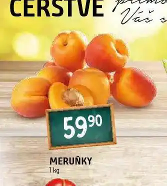 Terno Meruňky nabídka