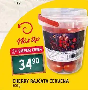 Terno Rajčata cherry nabídka